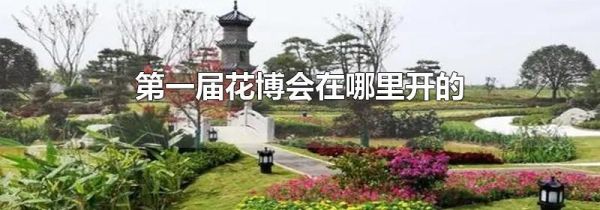 第一届花博会在哪里开的