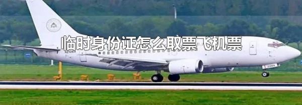 临时身份证怎么取票飞机票