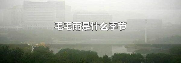 毛毛雨是什么季节