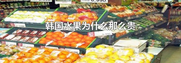 韩国水果为什么那么贵