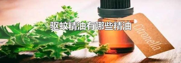 驱蚊精油有哪些精油