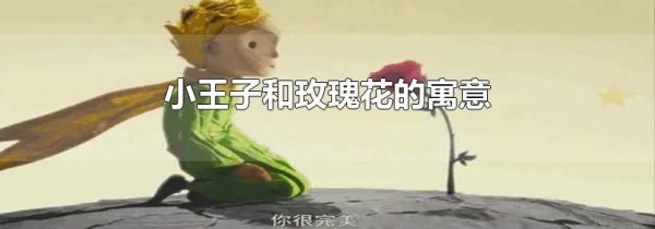 小王子和玫瑰花的寓意