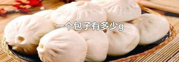 一个包子有多少g