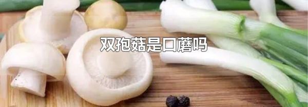 双孢菇是口蘑吗