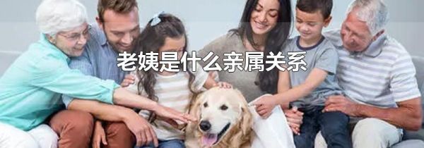 老姨是什么亲属关系