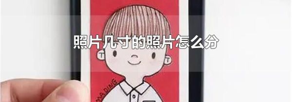 照片几寸的照片怎么分