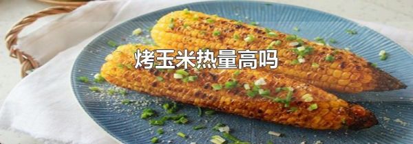 烤玉米热量高吗