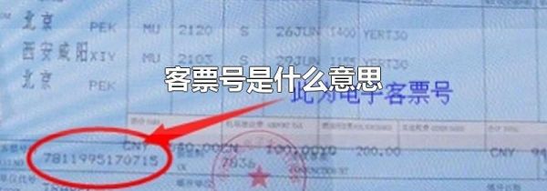 客票号是什么意思