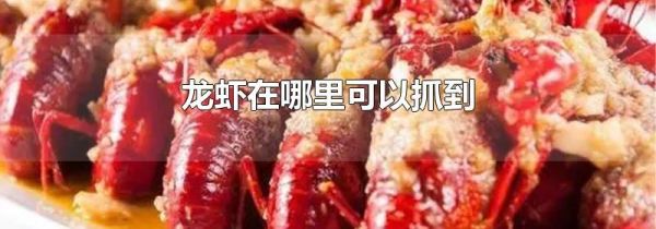 龙虾在哪里可以抓到
