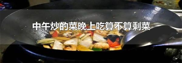 中午炒的菜晚上吃算不算剩菜