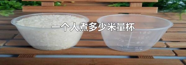 一个人煮多少米量杯