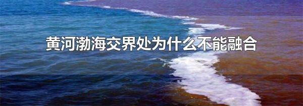 黄河渤海交界处为什么不能融合