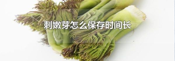 刺嫩芽怎么保存时间长