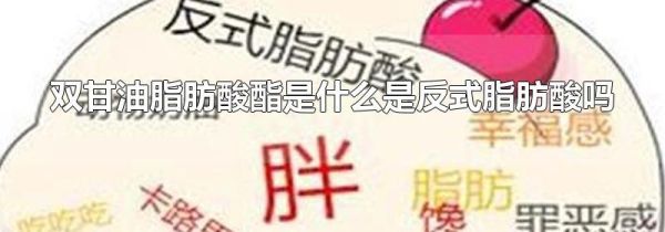 双甘油脂肪酸酯是什么是反式脂肪酸吗