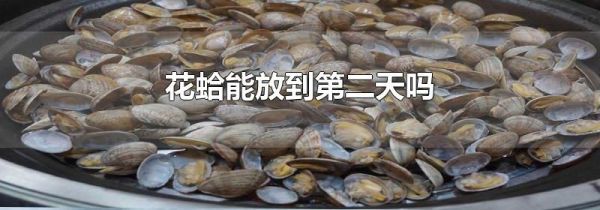 花蛤能放到第二天吗