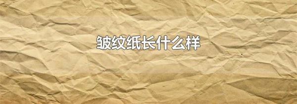 皱纹纸长什么样