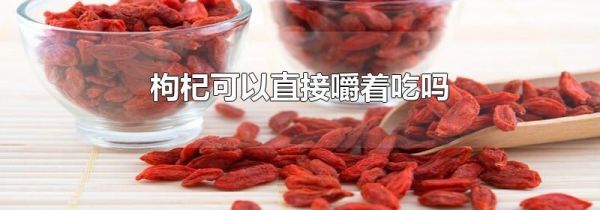枸杞可以直接嚼着吃吗