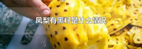 凤梨有黑籽是什么情况
