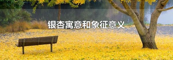银杏寓意和象征意义