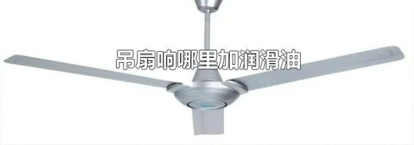 吊扇响哪里加润滑油