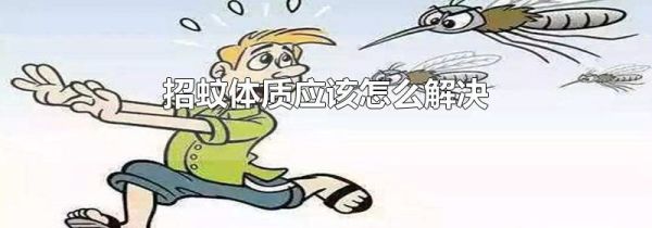 招蚊体质应该怎么解决