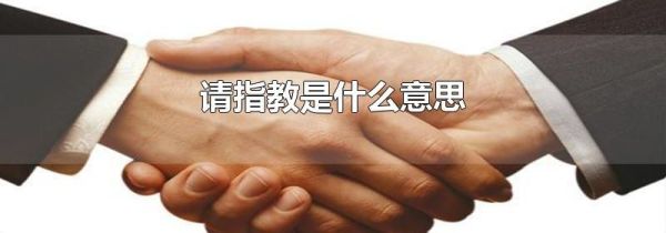 请指教是什么意思