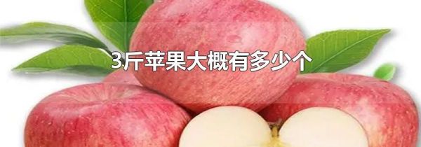 3斤苹果大概有多少个