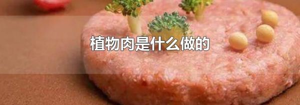 植物肉是什么做的