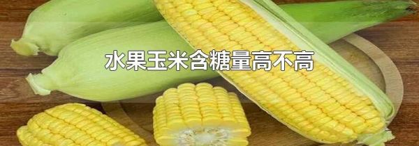 水果玉米含糖量高不高