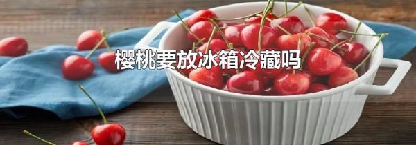 樱桃要放冰箱冷藏吗