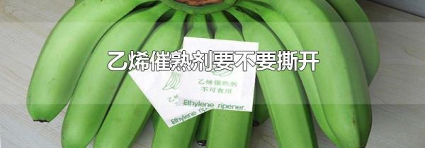 乙烯催熟剂要不要撕开