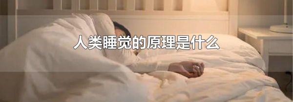 人类睡觉的原理是什么