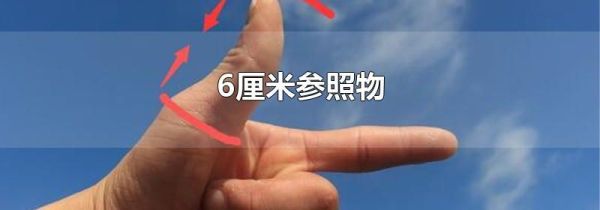 6厘米参照物