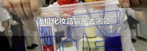 飞机化妆品袋子去哪领