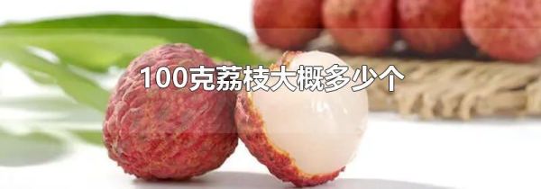 100克荔枝大概多少个