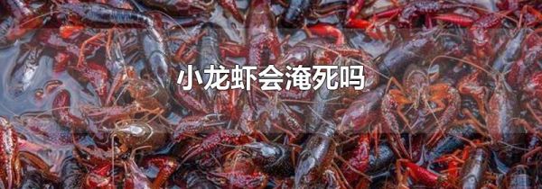 小龙虾会淹死吗