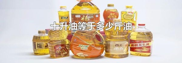 十升油等于多少斤油