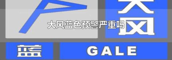 大风蓝色预警严重吗