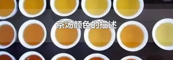 茶汤颜色的描述
