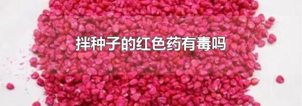 拌种子的红色药有毒吗