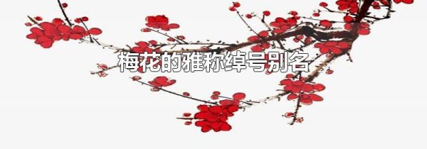 梅花的雅称绰号别名