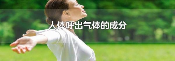 人体呼出气体的成分
