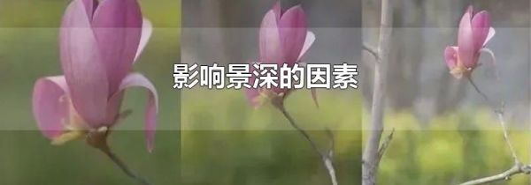 影响景深的因素