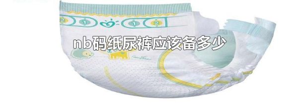 nb码纸尿裤应该备多少