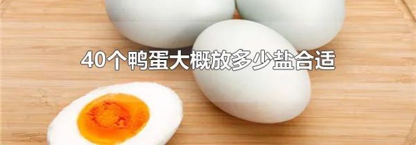 40个鸭蛋 大概放多少盐合适