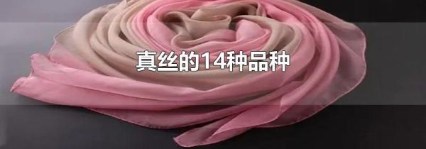 真丝的14种品种