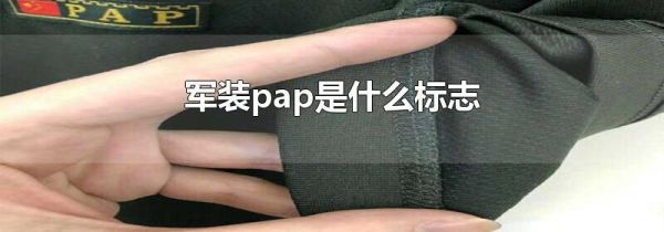 军装pap是什么标志