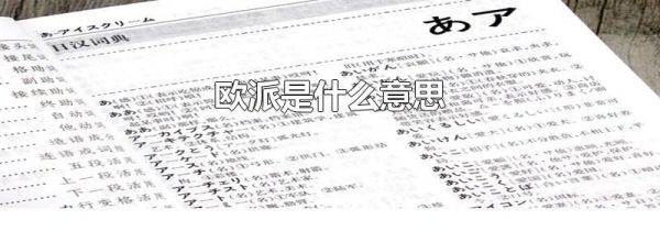 欧派是什么意思