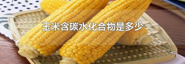 玉米含碳水化合物是多少