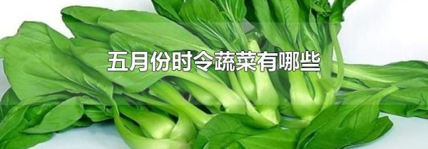 五月份时令蔬菜有哪些
